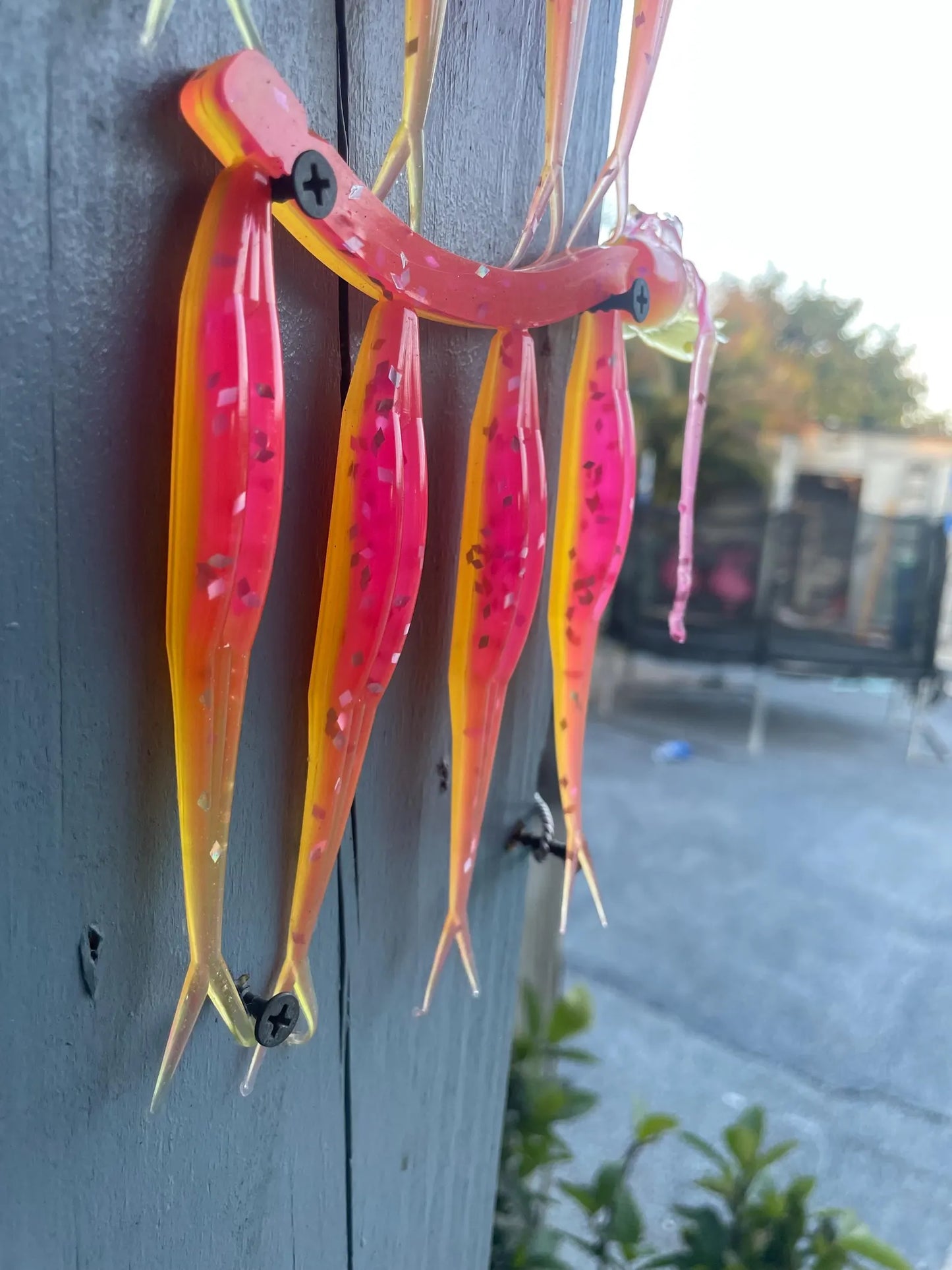 5" Fluke-Cotton Candy (6-Pack)