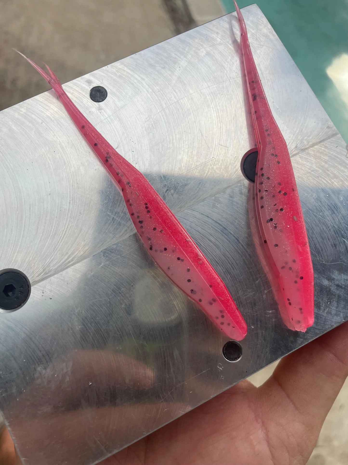 5" Fluke-Pink Pepper (6-Pack)