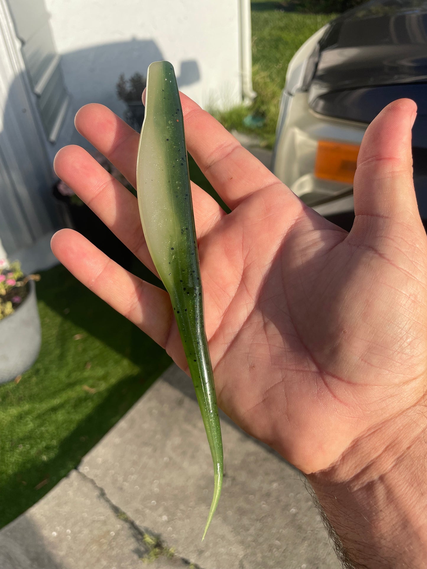 8" Fluke-Olive Fade