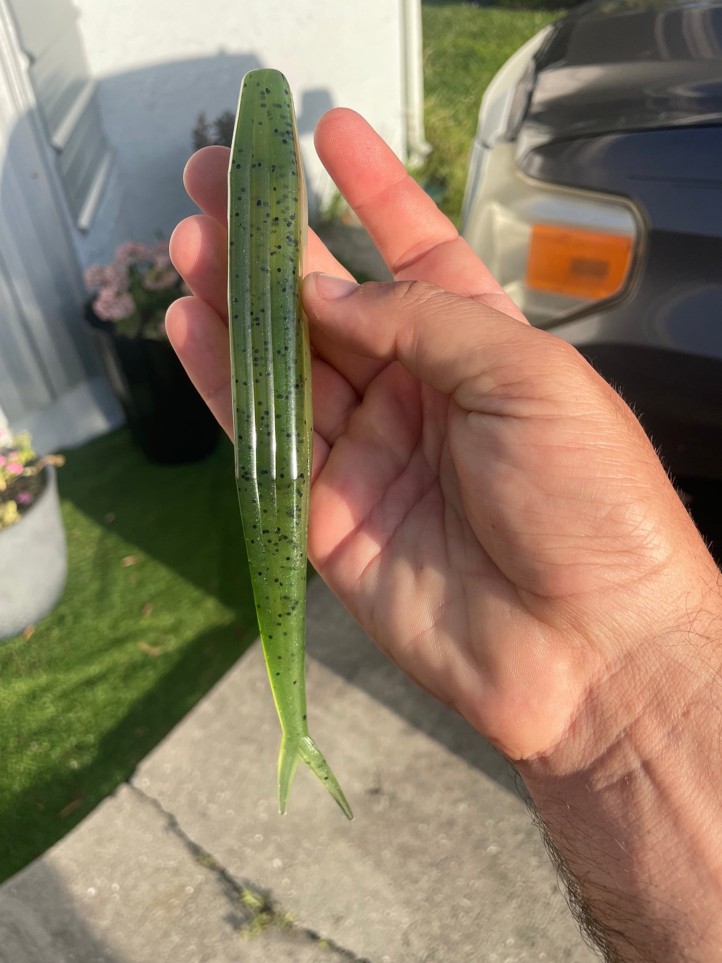 8" Fluke-Olive Fade