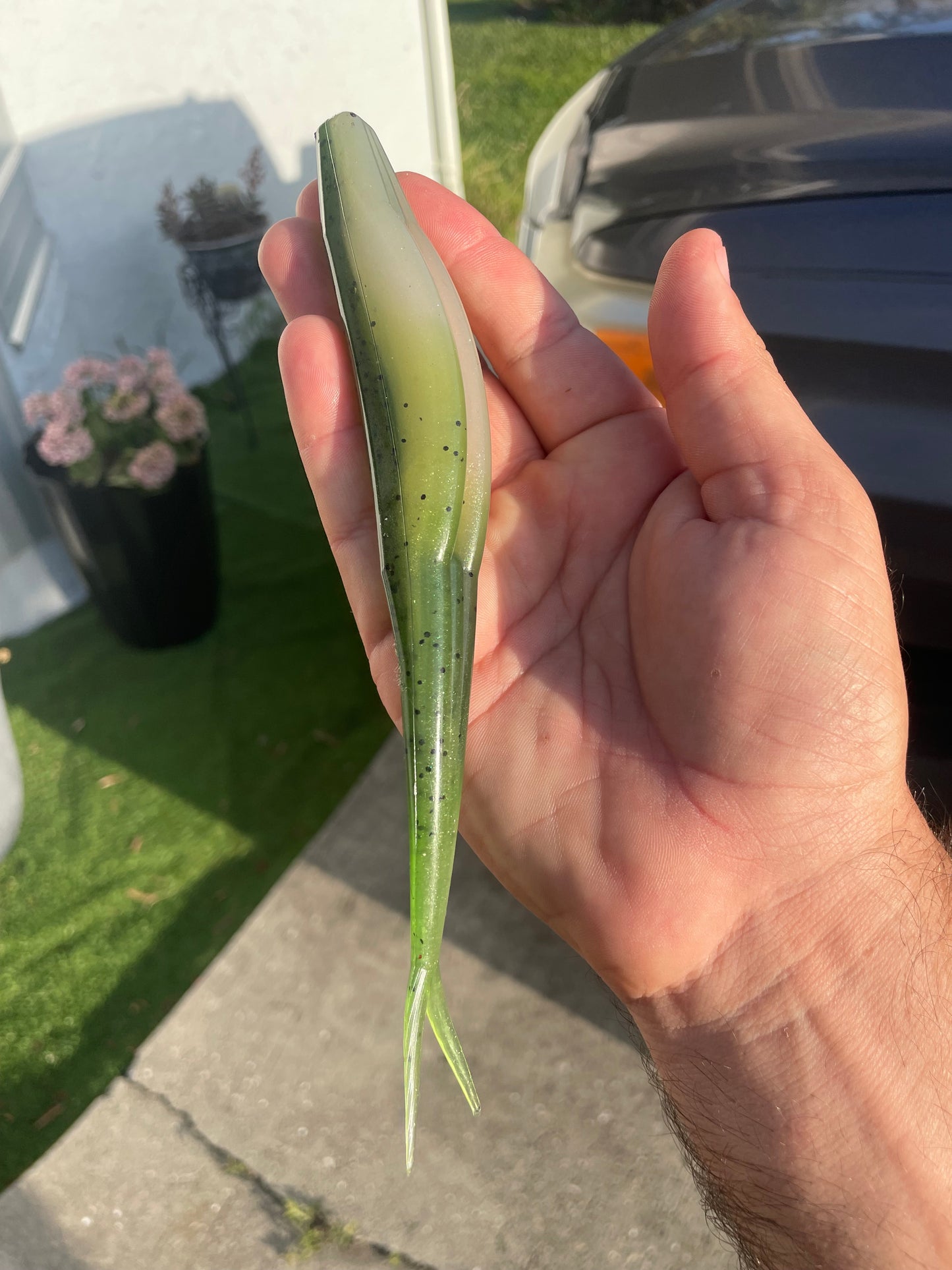8" Fluke-Olive Fade