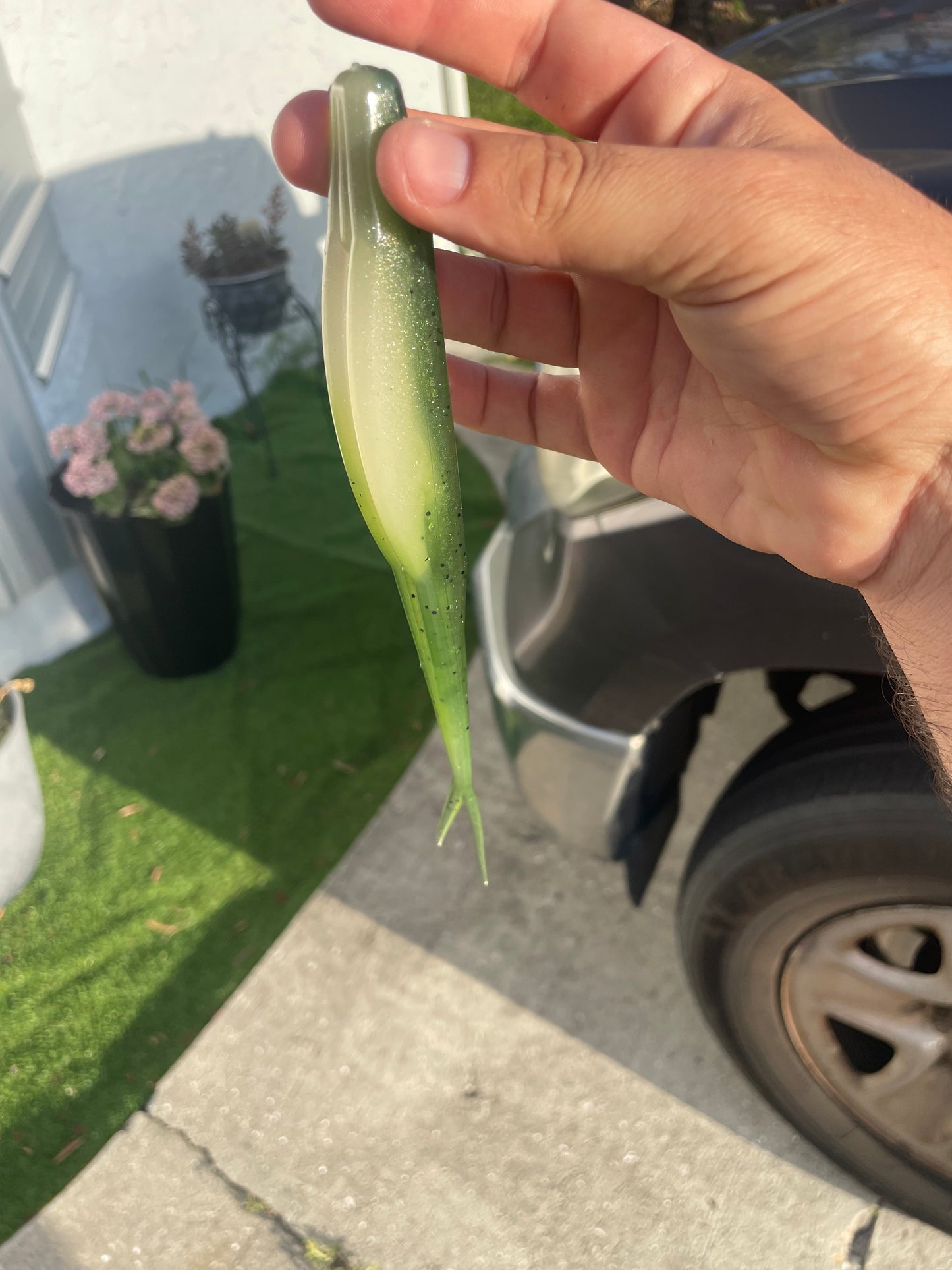 8" Fluke-Olive Fade