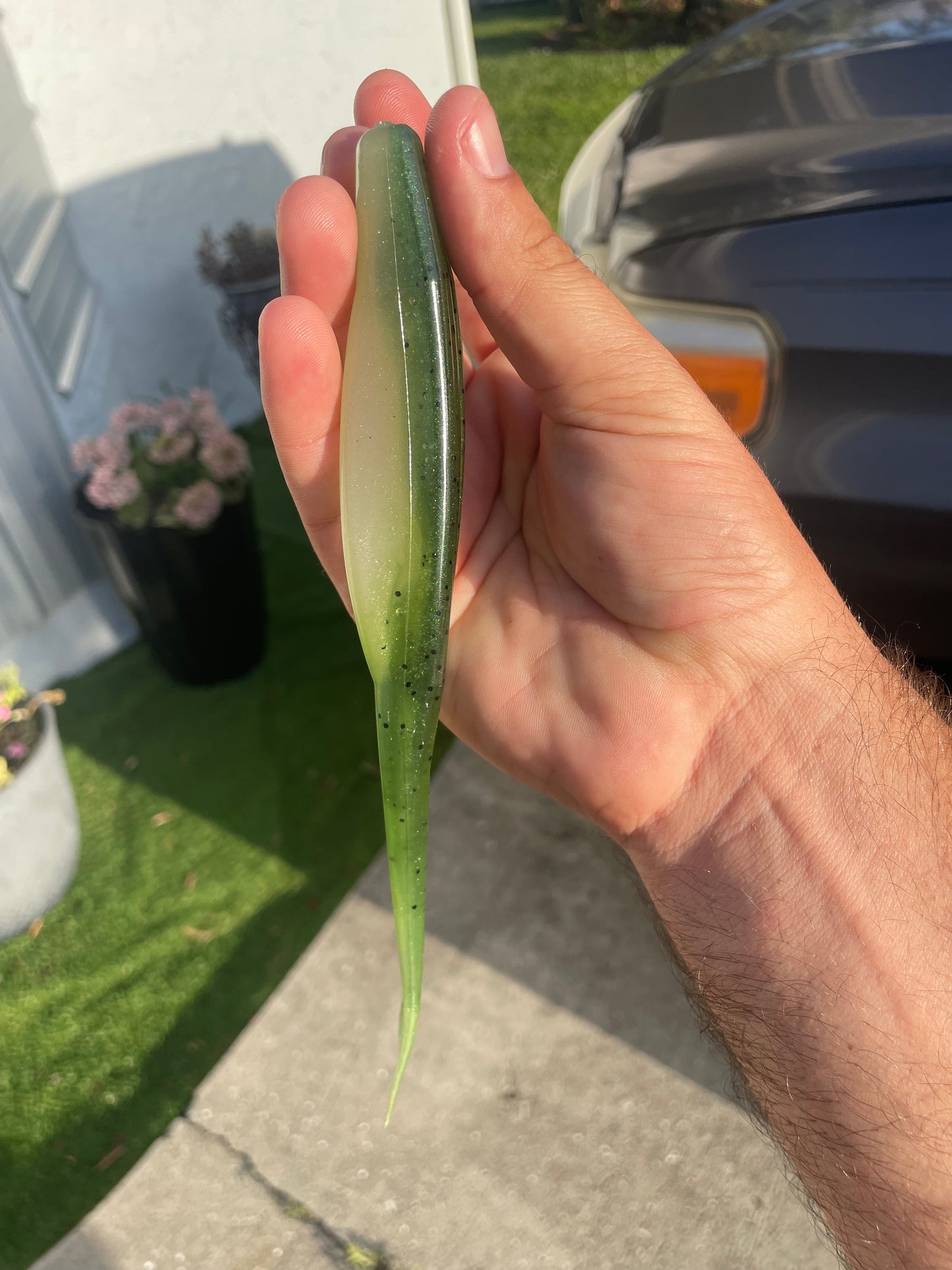 8" Fluke-Olive Fade