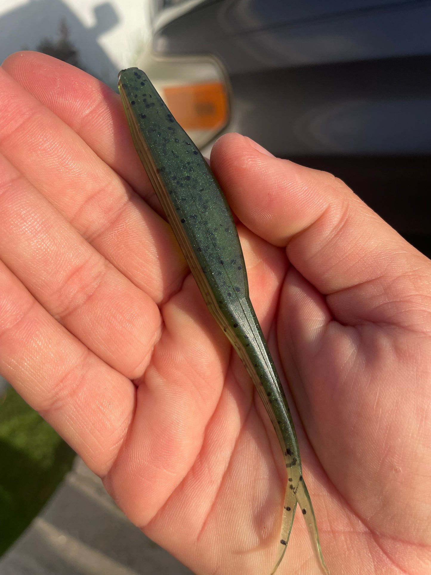 5" Fluke-Watermelon Green Fusion (6-Pack)