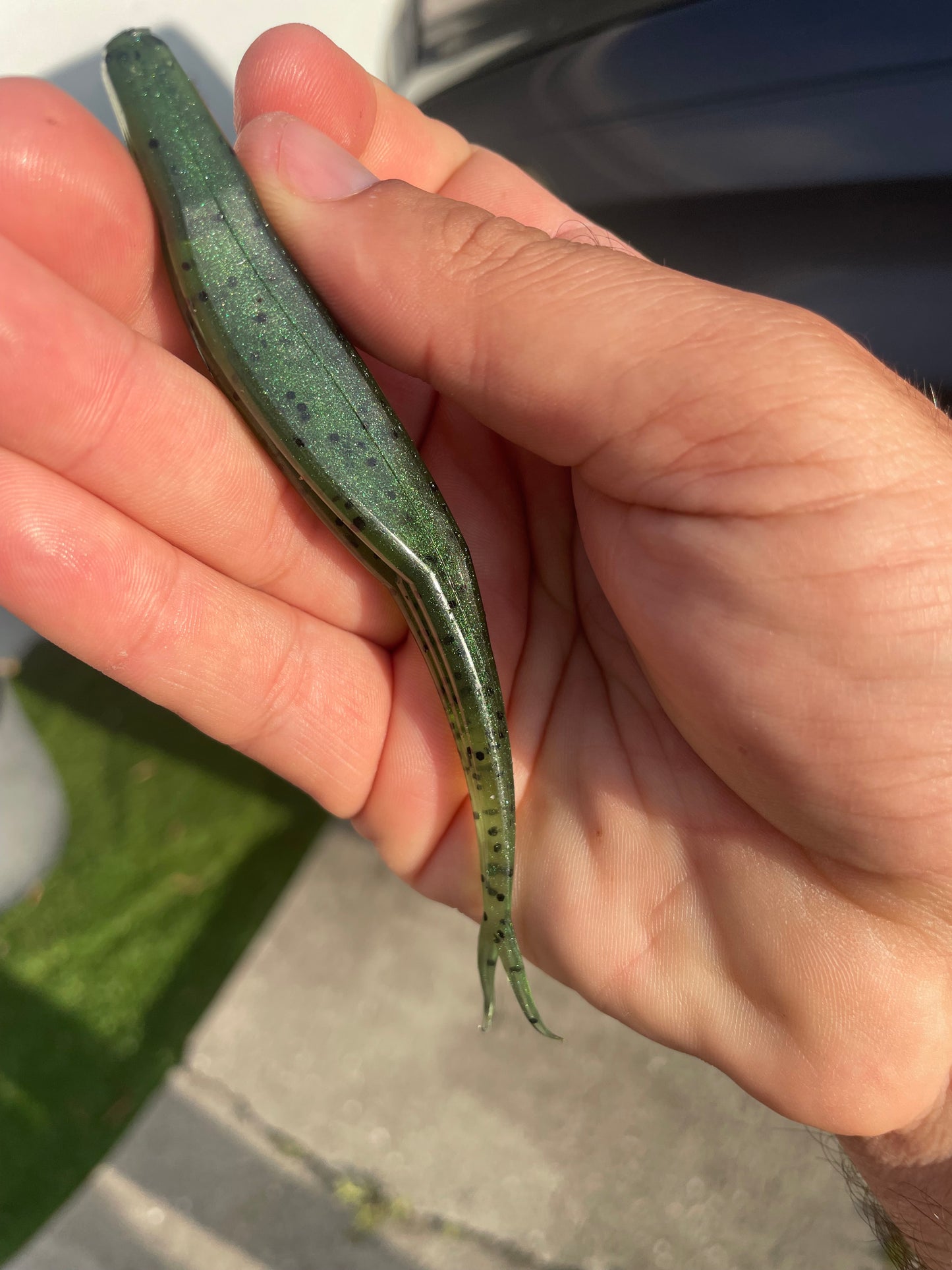 5" Fluke-Watermelon Green Fusion (6-Pack)