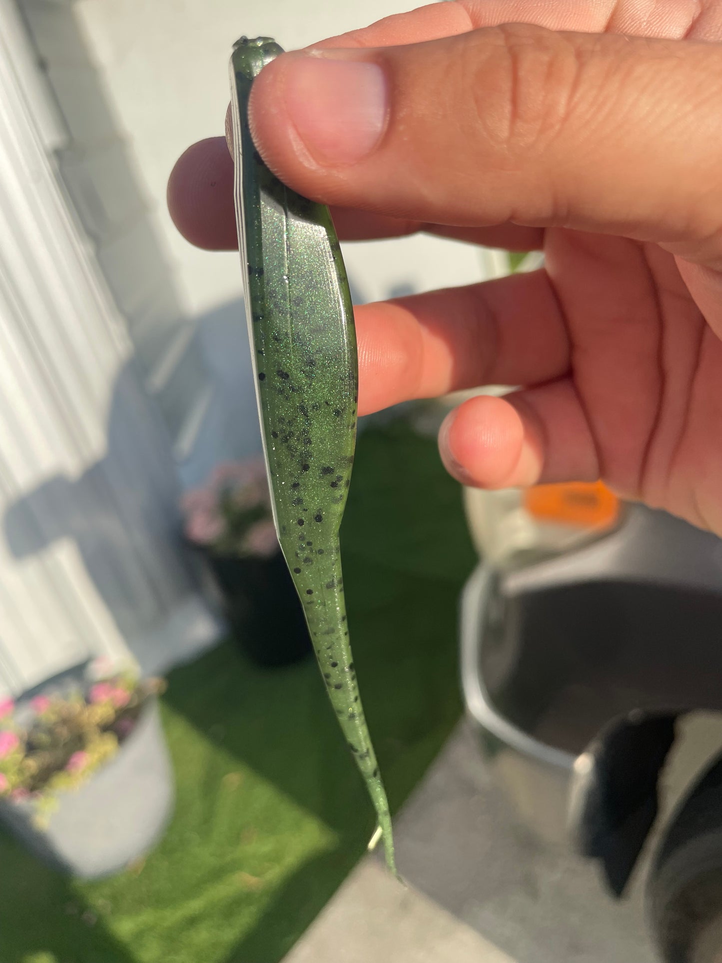 5" Fluke-Watermelon Green Fusion (6-Pack)
