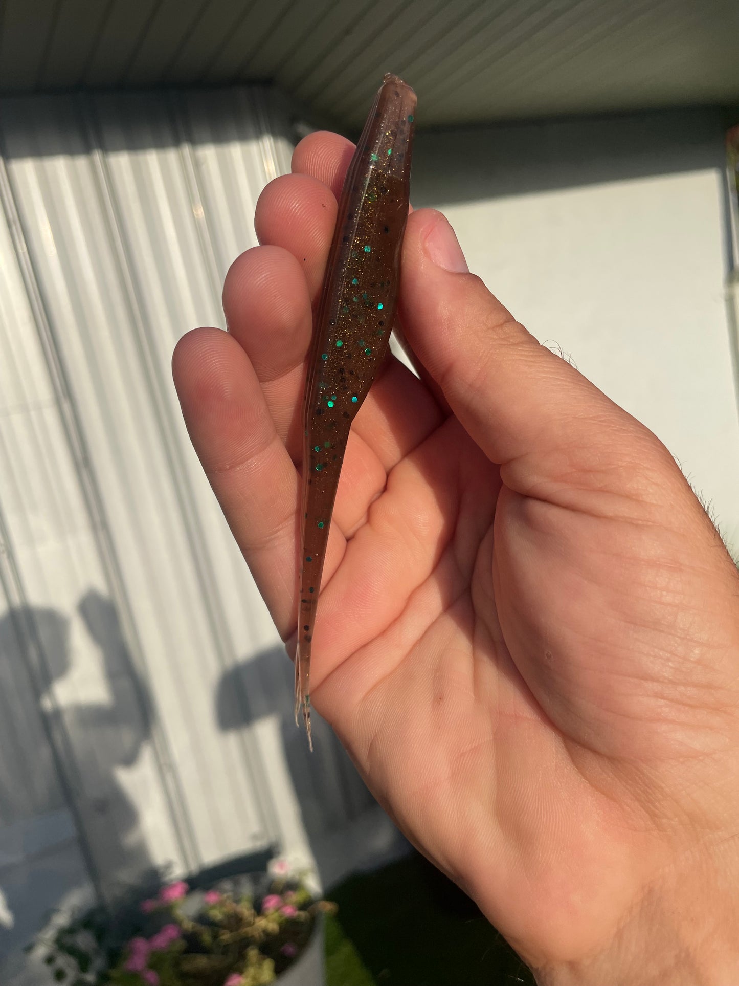 5" Fluke-Green Pumpkin (6-Pack)
