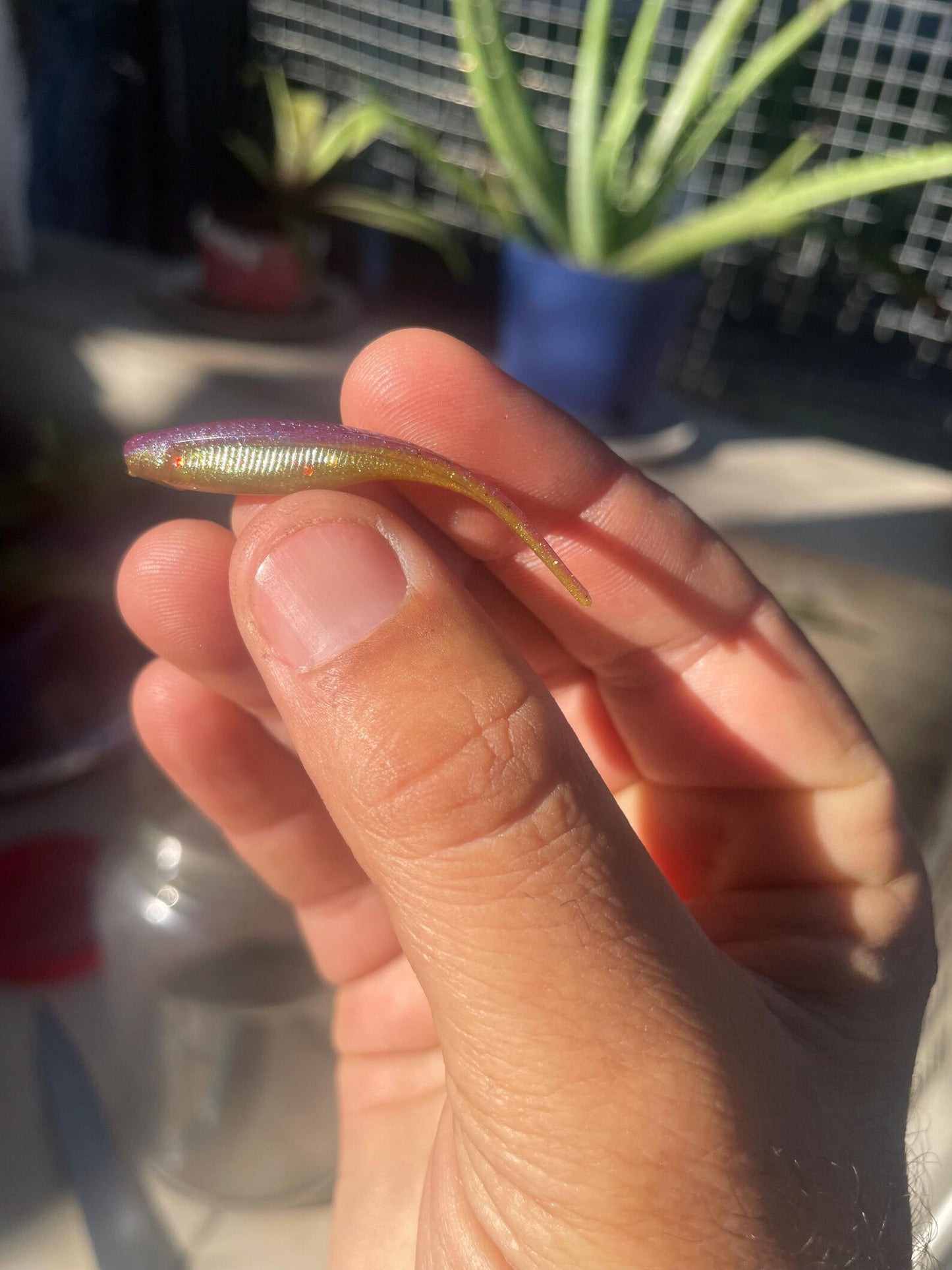 2" Tracer Shad-PB&J