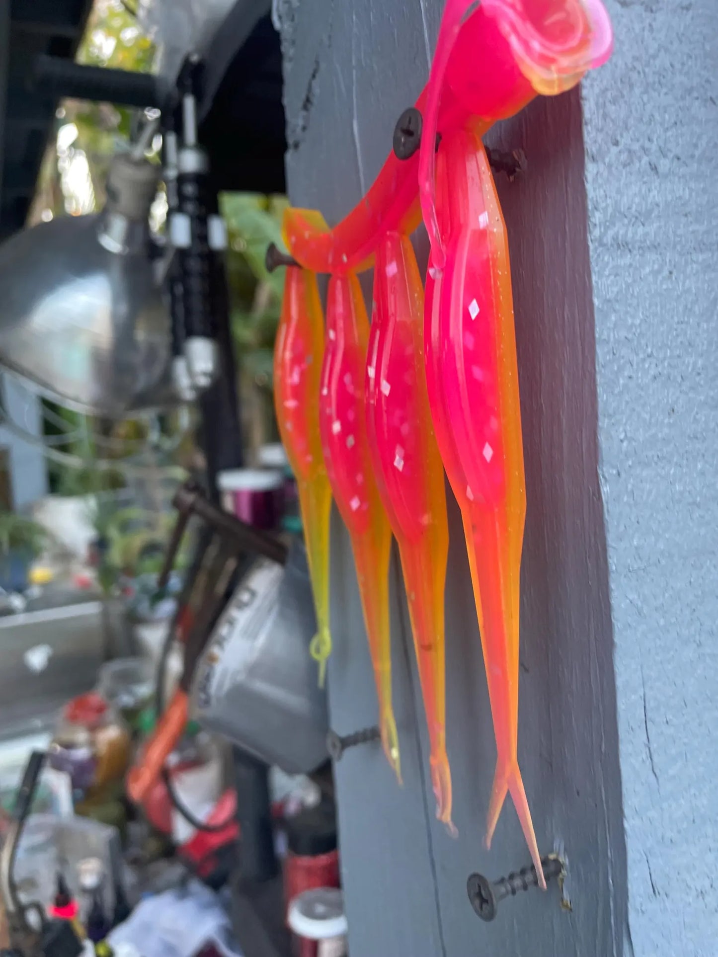 5" Fluke-Cotton Candy (6-Pack)