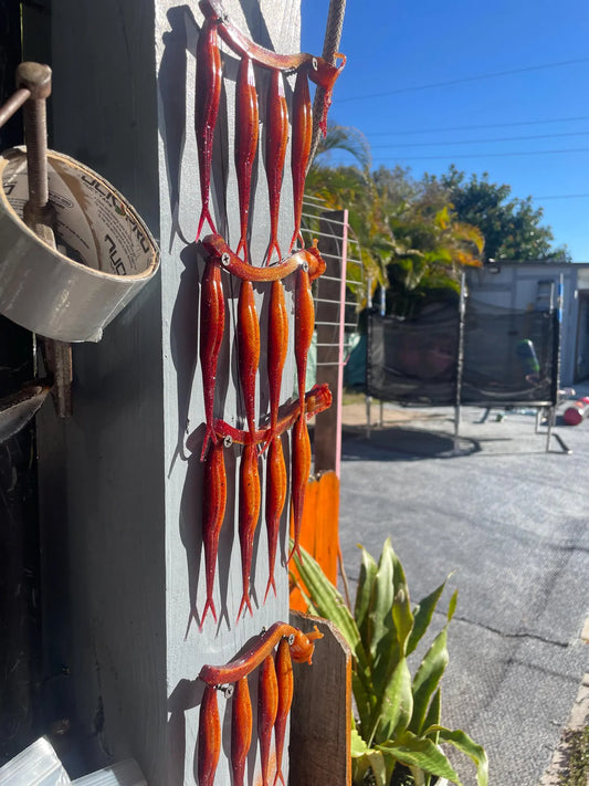 5" Fluke-Molten Craw (6-Pack)