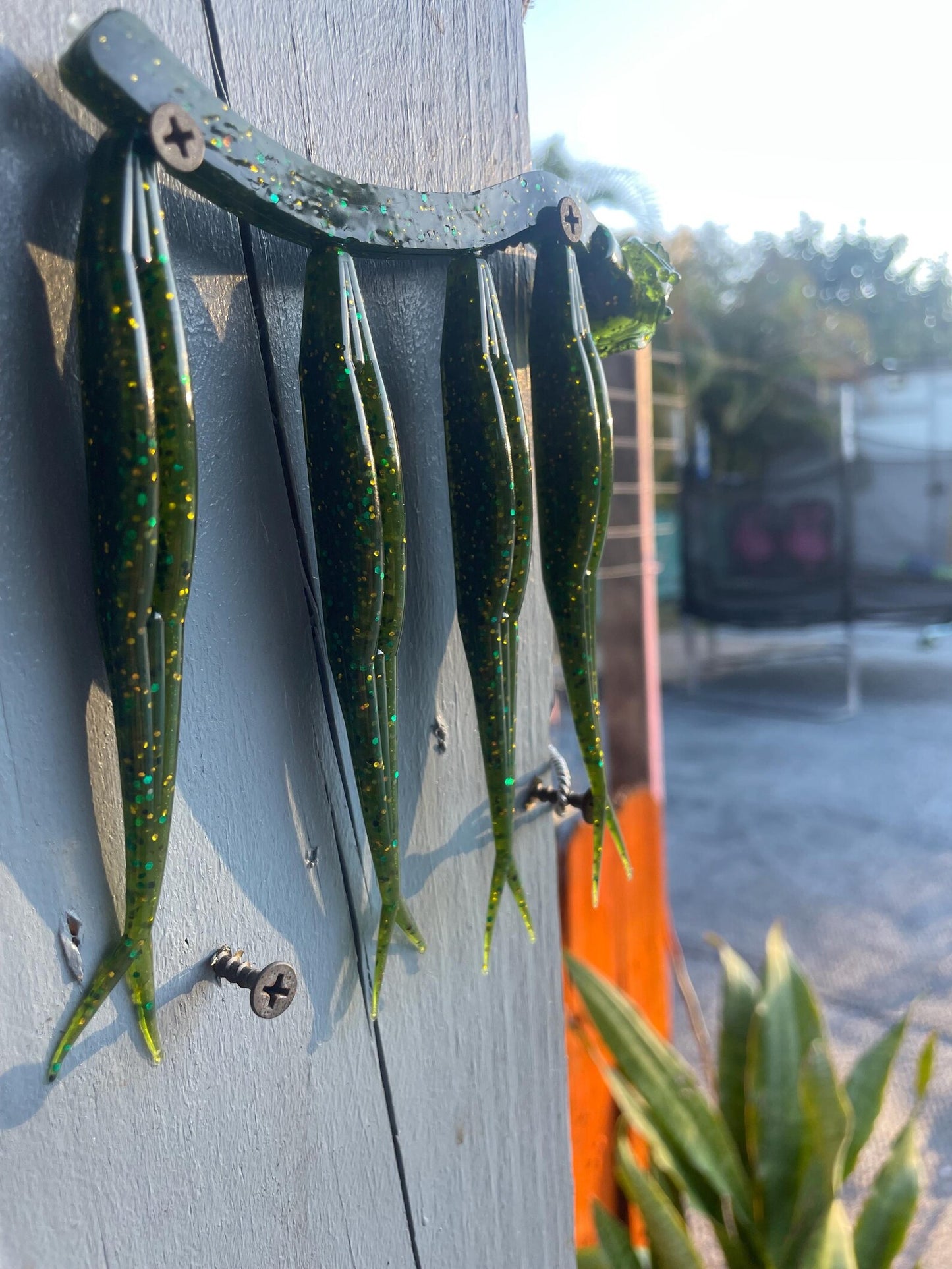 5" Fluke-Watermelon Candy (6-Pack)