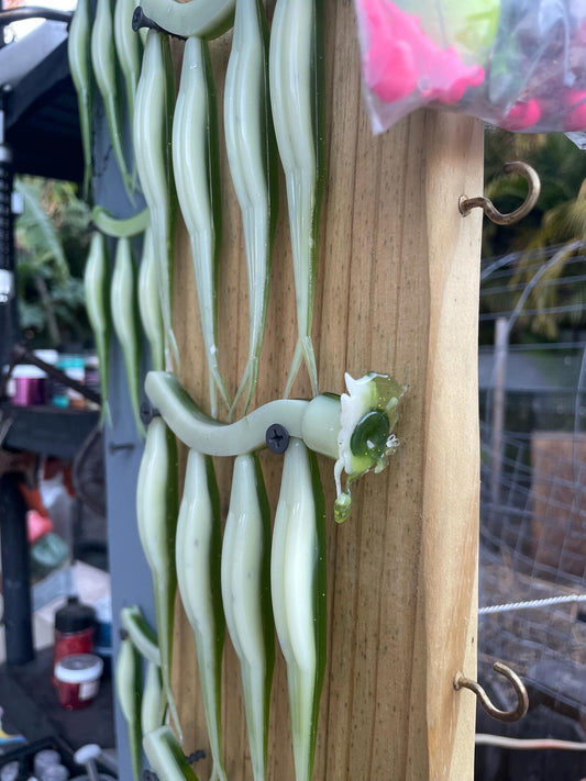 5" Fluke-Emerald Bone (6-Pack)