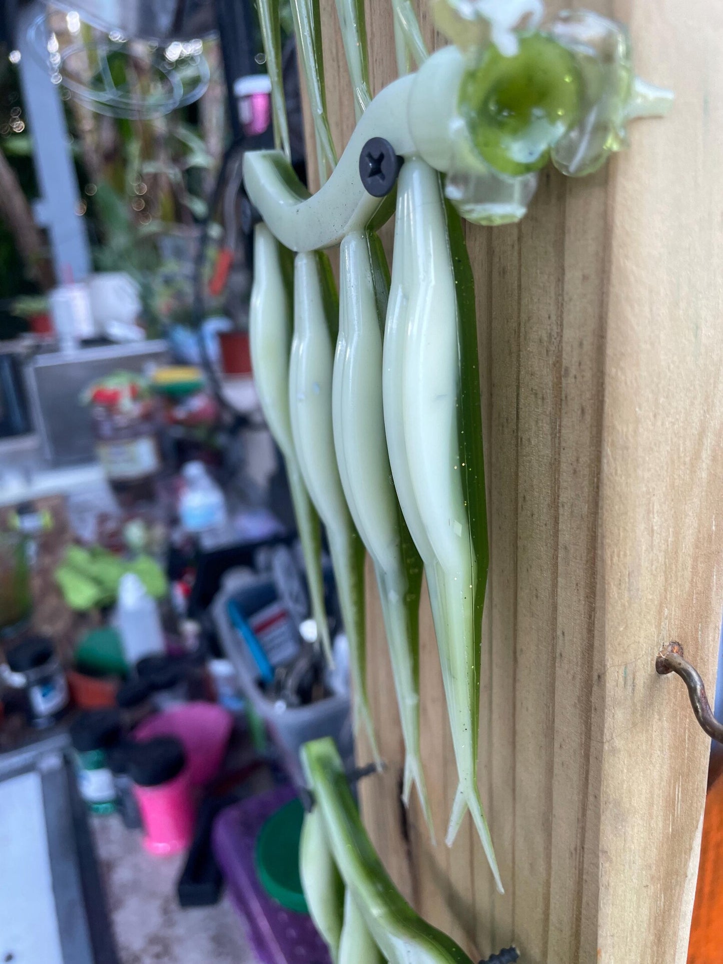 5" Fluke-Emerald Bone (6-Pack)