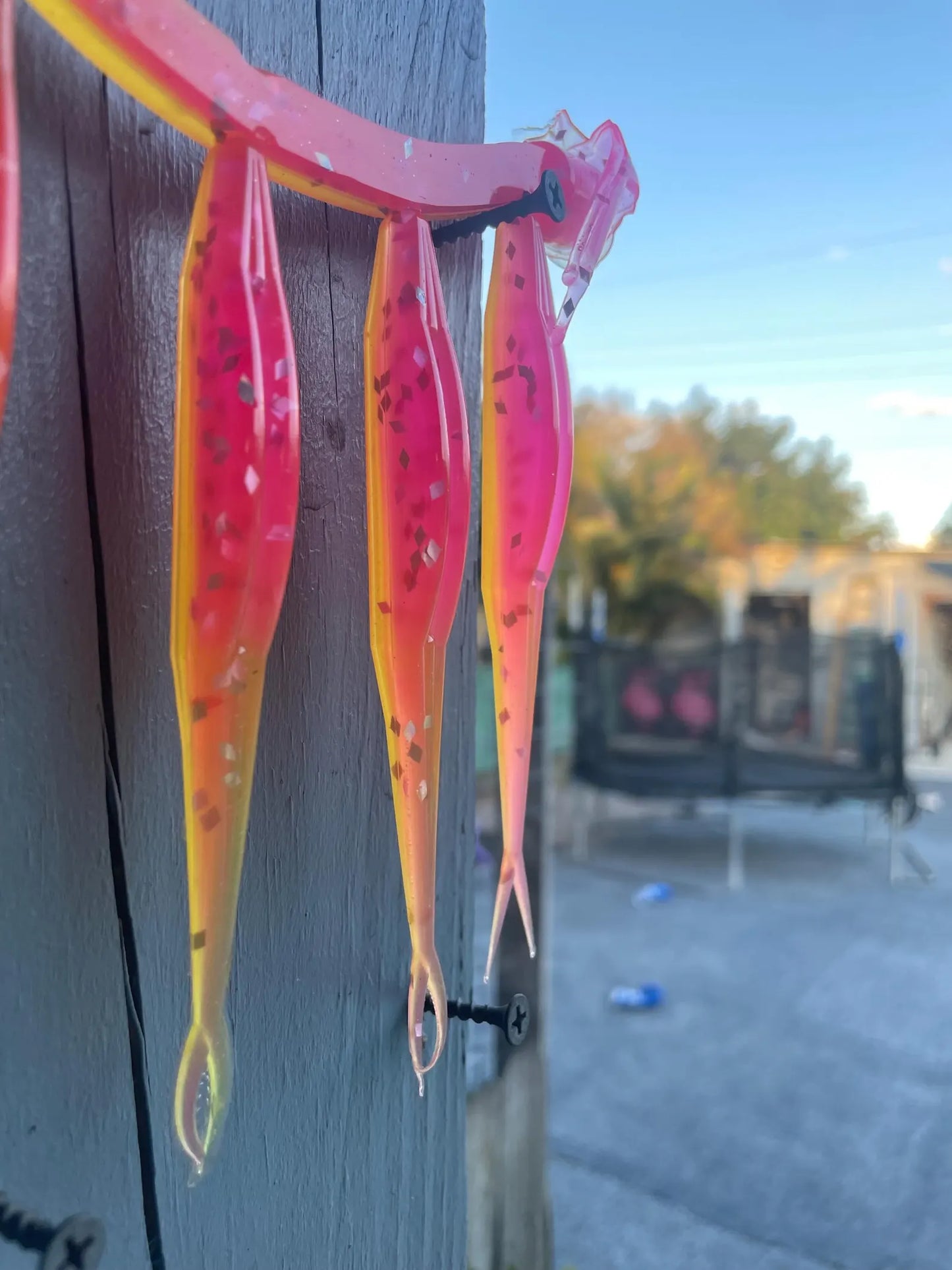 5" Fluke-Cotton Candy (6-Pack)