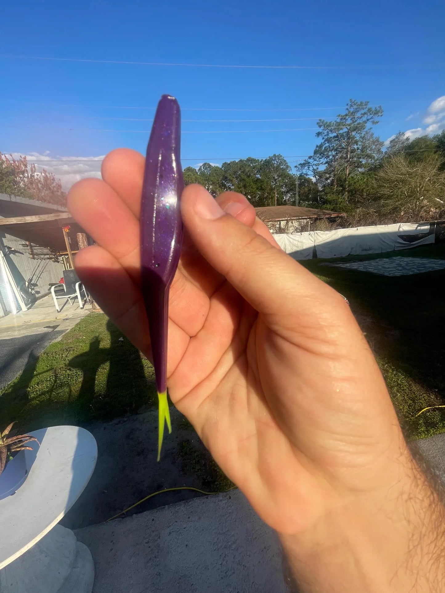5" Fluke-Electric Grape (6-Pack)