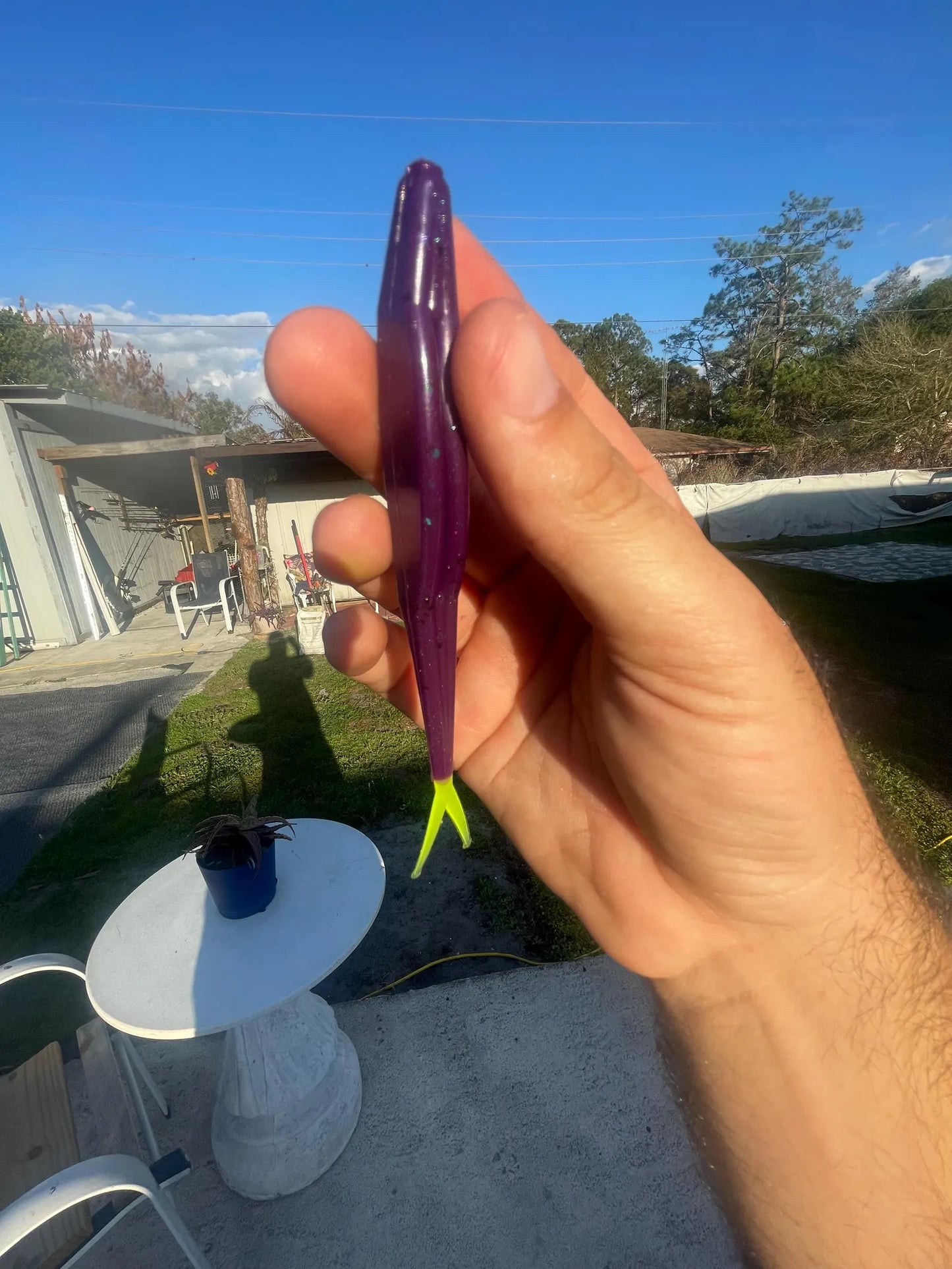 5" Fluke-Electric Grape (6-Pack)
