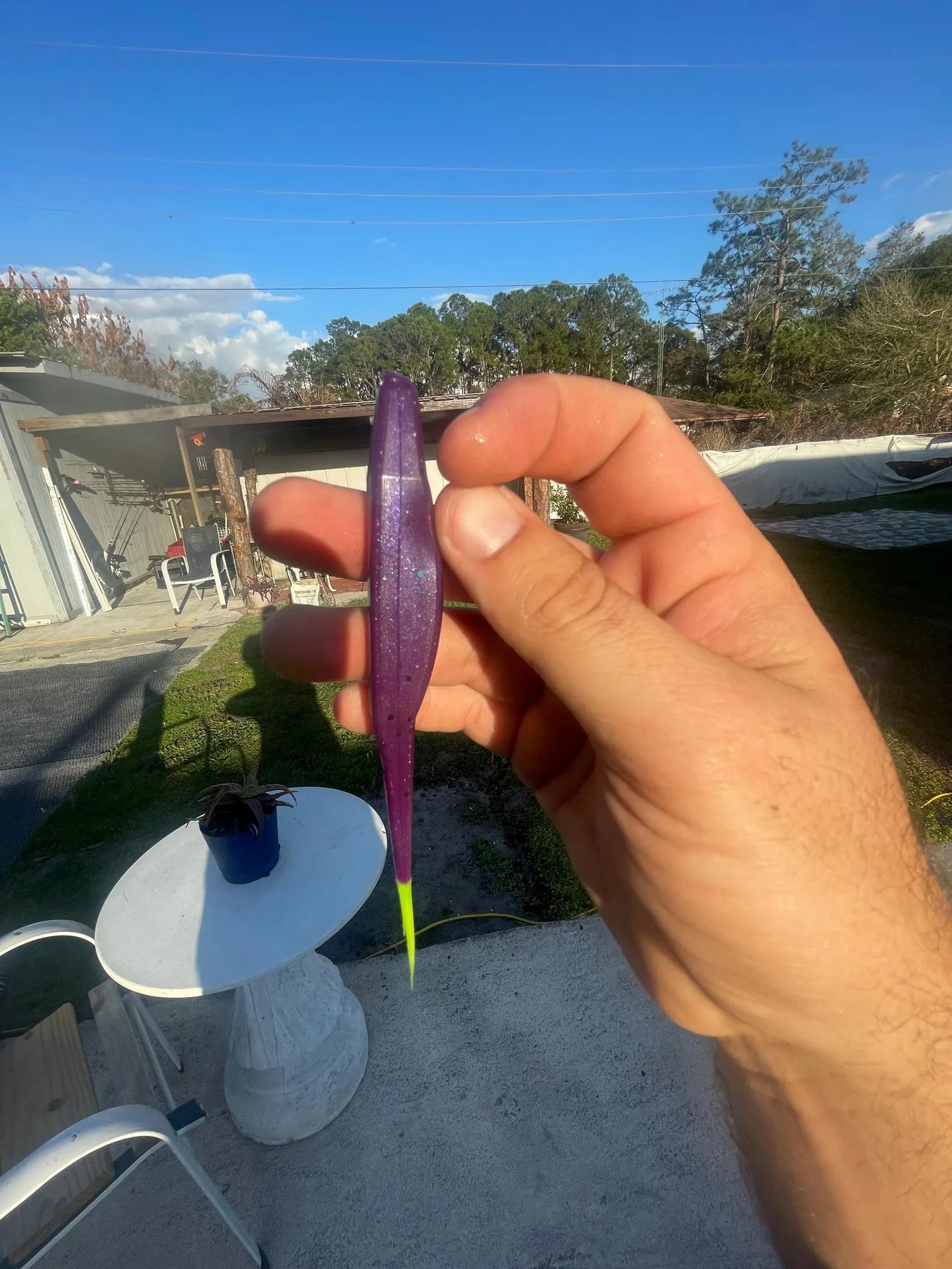 5" Fluke-Electric Grape (6-Pack)