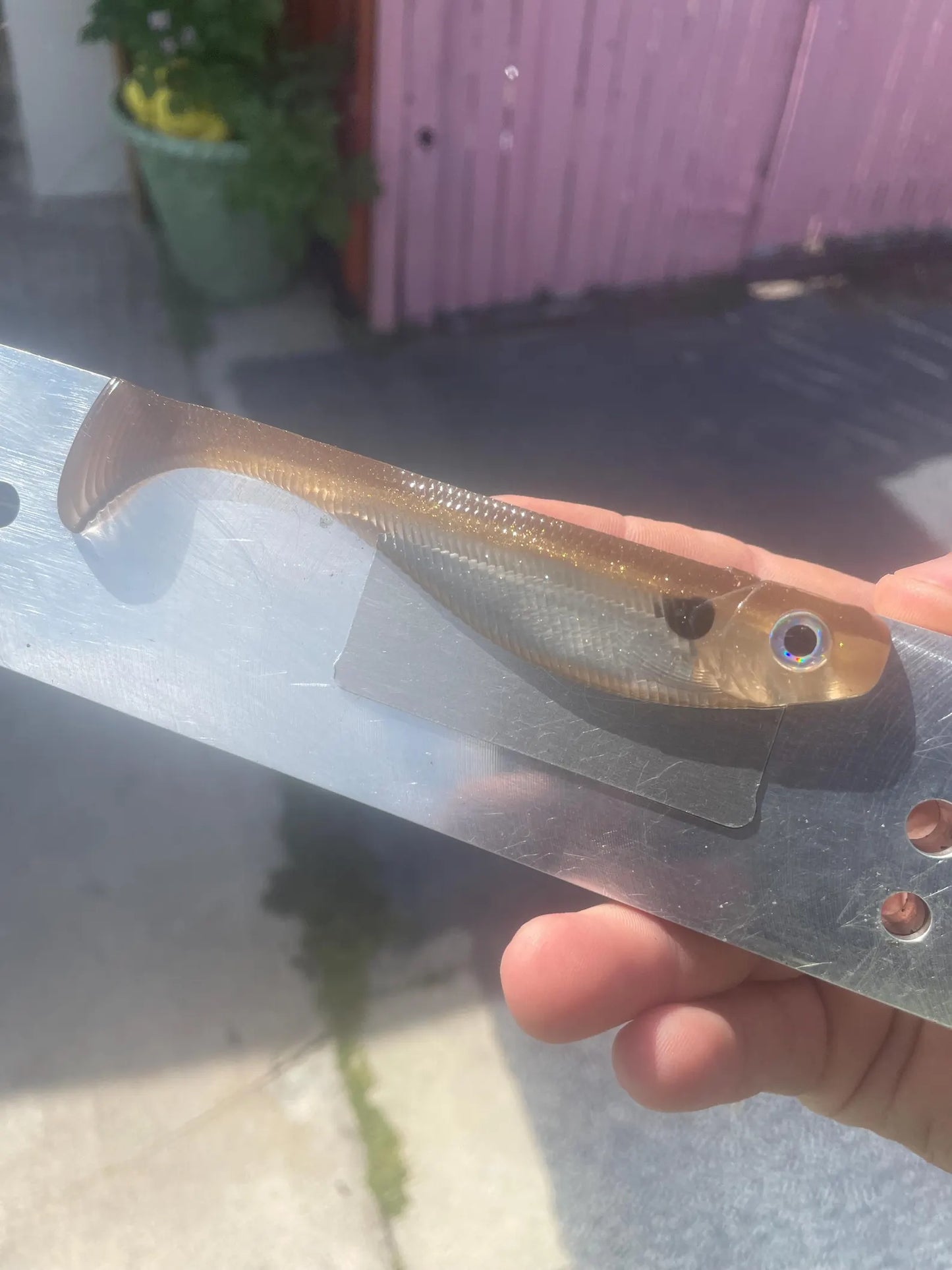 5" Shad- Gold Gizzard