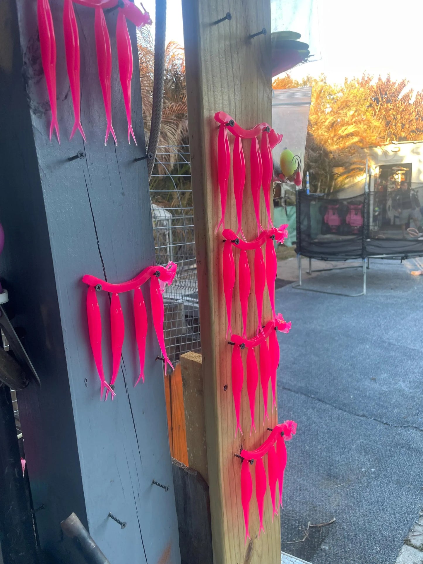 5" Fluke-Bubble Gum (6-Pack)