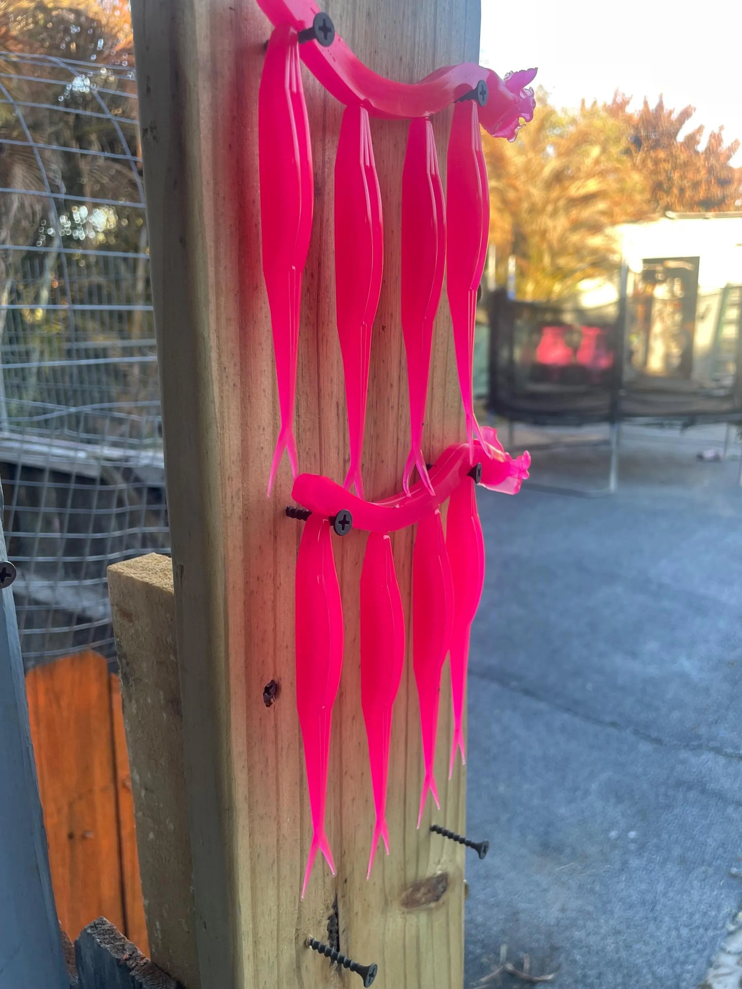 5" Fluke-Bubble Gum (6-Pack)